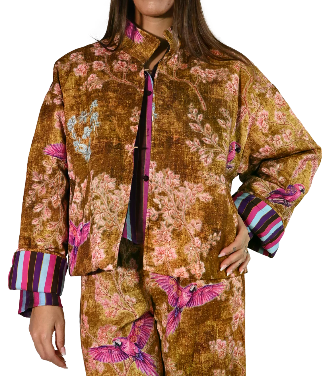 Have One Bomber Rigato Donna