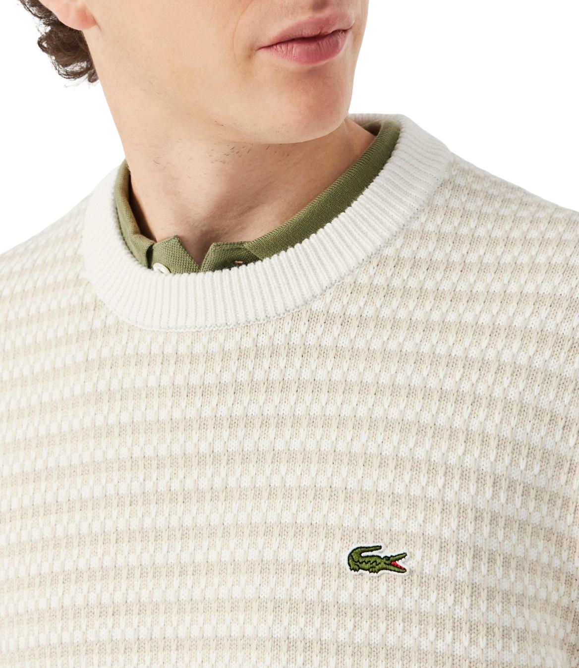 Lacoste pullover jacquard in cotone