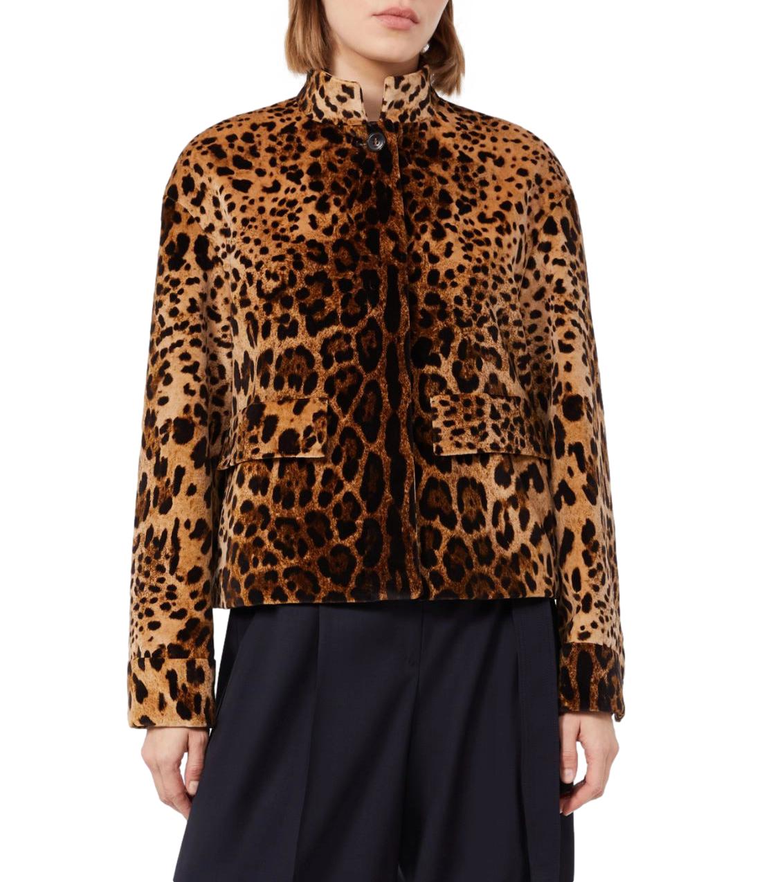 Max Mara Studio Giacca Mstedro Marrone Donna