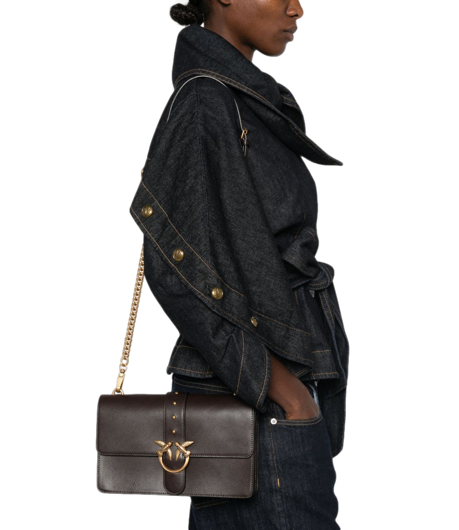Pinko Love Bag One media marrone marasca