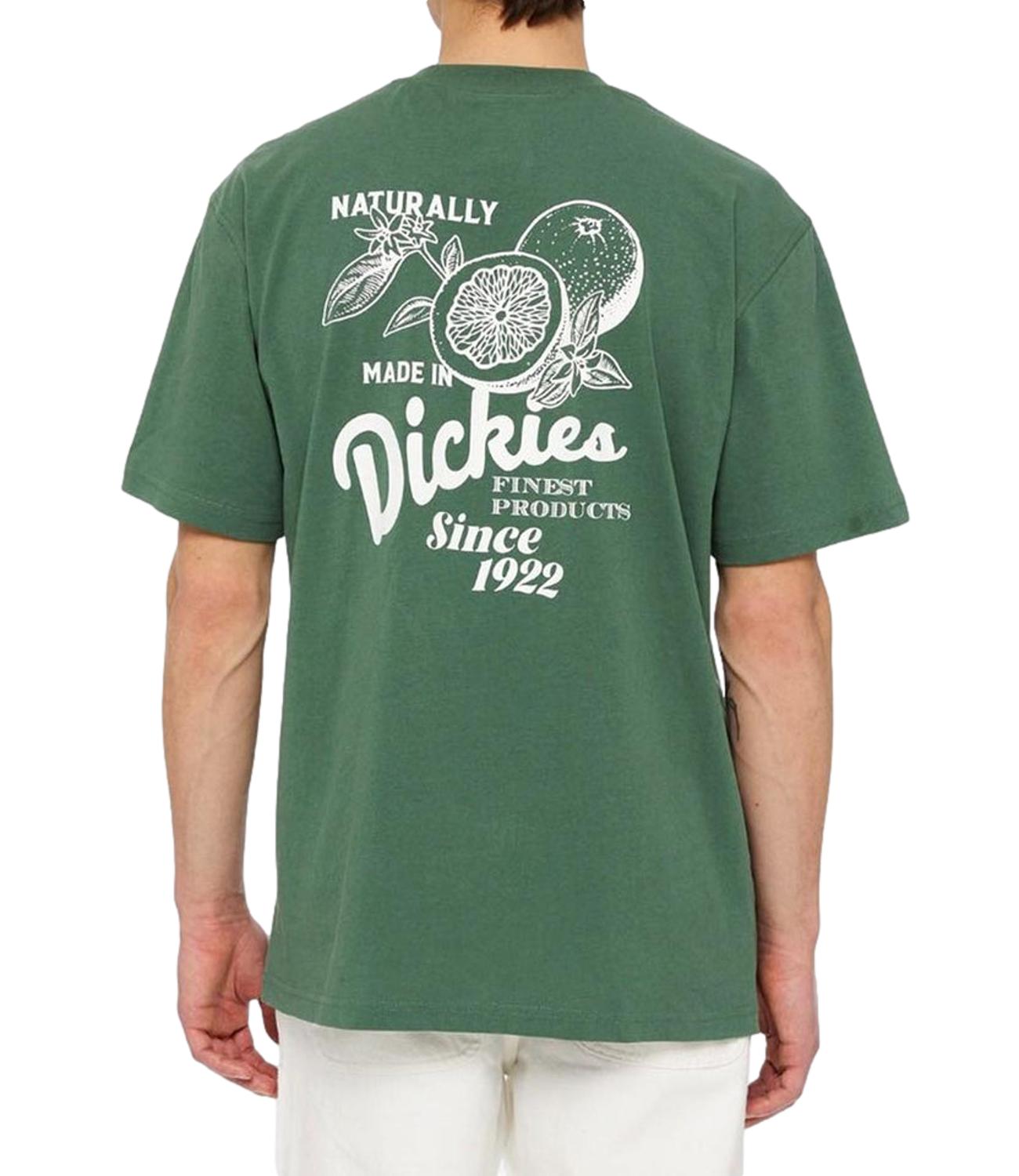 T-shirt Dickies verde con logo bianco Raven