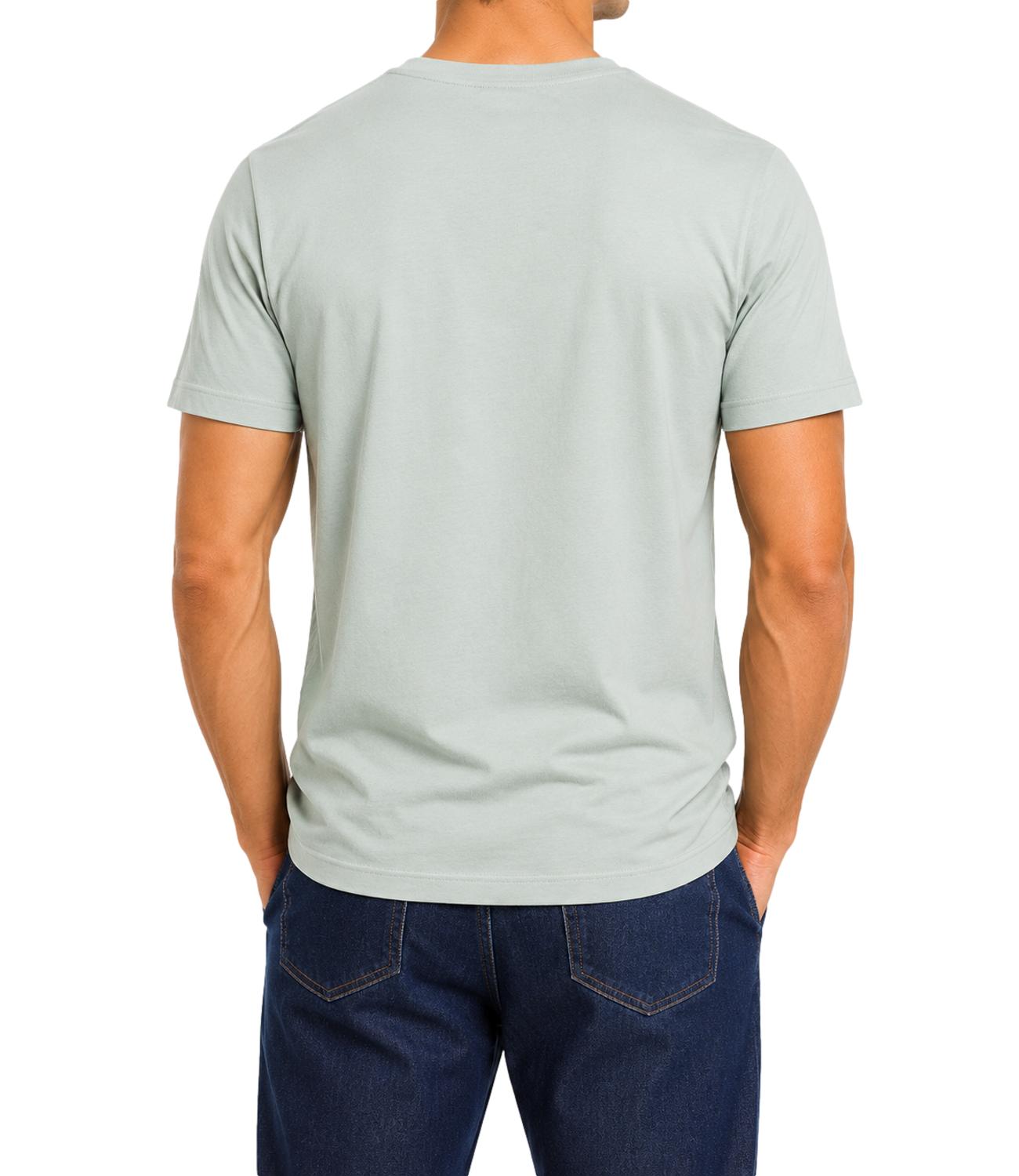 T-Shirt Uomo verde acqua US Polo